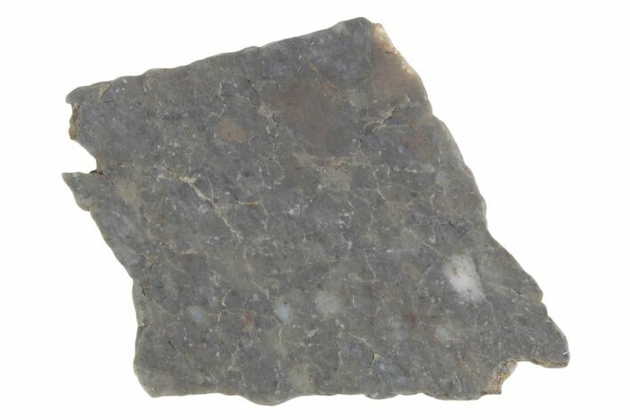 Lunar Meteorite ( g) Slice - Laayoune #381673